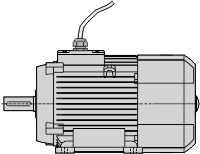 motor with fly leads